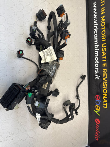 Peugeot 208 HM05 Engine Wiring 9841042280
