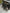 Motore completo ford Fiesta 1.4 RTJC