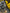 Motore Renault Kajiar Clio 1.5 diesel K9K U8 bosch