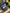 Dacia Duster Sandero K4ma6 1.6 petrol 16v 4x2 engine 