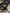 Motore Renault Traffic R9M D4