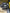 Motore Fiat Freemont 2.0 939b5000
