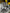 Motore Audi Q3 2020 2.0 DTS