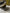 Motore completo opel Zarira 1.6 benzina A16XNT