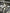 Motore compelto cus 1.4 diesel skoda fabia polo Audi