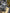 Motore completo ford Kuga 1.5 2022 ZTDA