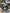 Motore completo Iveco daily 3.0 F1CE3481L