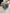 Compresseur de climatisation Opel Insignia Astra 2.0 A20DTH 