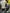 Motore Audi Q3 2020 2.0 DTS
