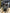 Motore completo ford Kuga 1.5 2022 ZTDA