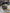 Complete BMW N47D20C 105 kW 2015 engine 