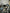 Motore Renault Kajiar Clio 1.5 diesel K9K U8 bosch
