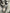 Motore completo Iveco daily 3.0 F1CE3481L