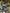 Motore Dacia Renault Duster 1.0 benzina H4D F480