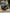 Motore Completo Peugeot 206 cod 8H01 1.4cc