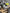 Nissan Juke petrol manual transmission TL 4164