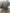 CAMBIO AUTOMATICO Nissan Qashqai (J11) SUV 1.6 dCi (r9m 2016 3WX1B