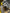 Motore Jeep wrangler 4 IV 2.2 multijet 2017> 200cv sigla U