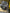 Motore completo volvo V60 D4204T16 2.0 diesel