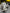 5M GEAR CHANGE FIAT 500X 1.3 MULTI JET 95CV ​​2021-2 CAR PARTS