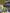 Motore Completo Ford fiesta 1.6 benzina sigla MUDD