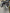 Complete BMW N47D20C 105 kW 2015 engine 