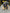 Motore completo ford 2.0 mondeo 2020 Ylcc