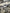 Motore completo Iveco daily 3.0 F1CE3481L