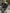 Motore completo ford Fiesta 1.4 RTJC