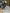 Motore Volkswagen 2.0 DFE 2018