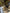 Motore Jeep wrangler 4 IV 2.2 multijet 2017> 200cv sigla U