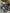 Motore Completo Volkswagen Golf 6 1.6 cc impianto Bosch CAY