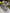 Motore completo Iveco daily 3.0 F1CE3481L