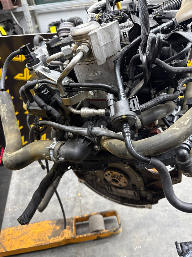 Motore Completo Ford EcoSport sigla motore M1JU