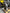 Motore completo nissan Kasquai K9K f636