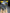 Motore Renault Kajiar Clio 1.5 diesel K9K U8 bosch