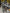 Motore Dacia Renault Duster 1.0 benzina H4D F480