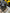 Motore completo Audi a6 3.0 v6 anno 2006 ASB