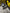 Motore completo opel Zarira 1.6 benzina A16XNT