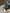 Motore completo ford 2.0 mondeo 2020 Ylcc