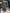 Motore Renault Kajiar Clio 1.5 diesel K9K U8 bosch