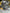 Motore completo Iveco daily 3.0 F1CE3481L