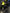 Motore Renault Traffic R9M D4