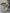 Toyota Yaris petrol manual transmission series 20tt010748324