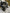 Motore completo ford Kuga 1.5 diesel 2019 Xwdb