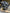 Motore completo Audi golf 1.6 CRK