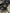 Motore Renault Traffic R9M D4