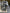 Motore Completo Ford EcoSport Connect sigla ZTJA - Z2GA