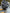 Motore Audi Q3 2020 2.0 DTS