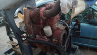 Motore Iveco aifo eurocargo 804125 - VL Ricambii Motors